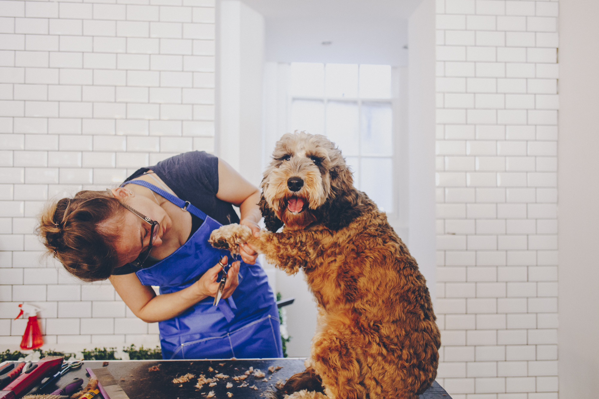 Connaught Village Woof Woof 2019