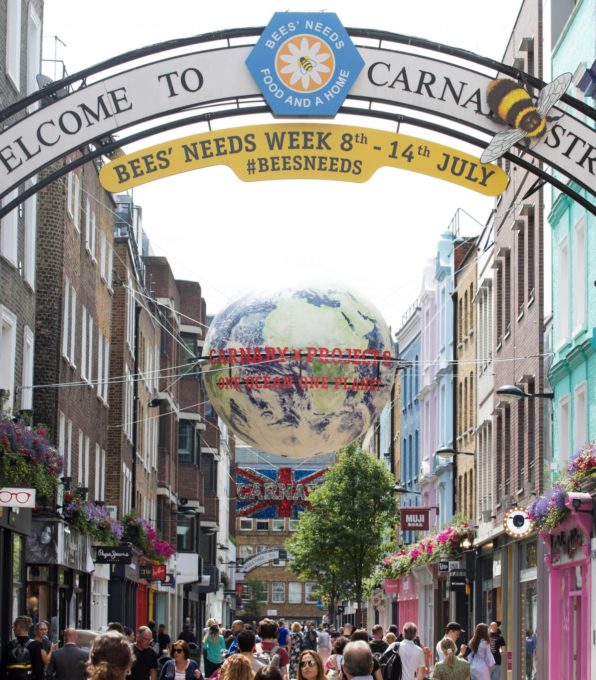 Bee’s Needs Week 2019
