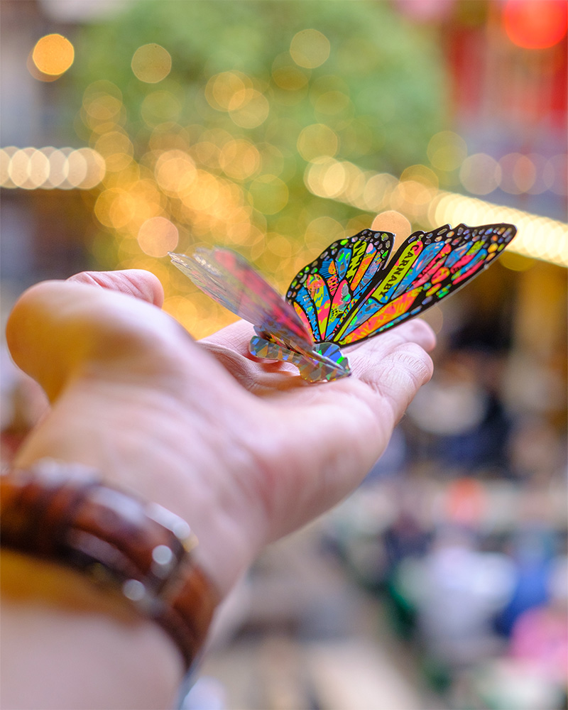 Carnaby_Christmas_Kaleidoscope_Event_Butterfly